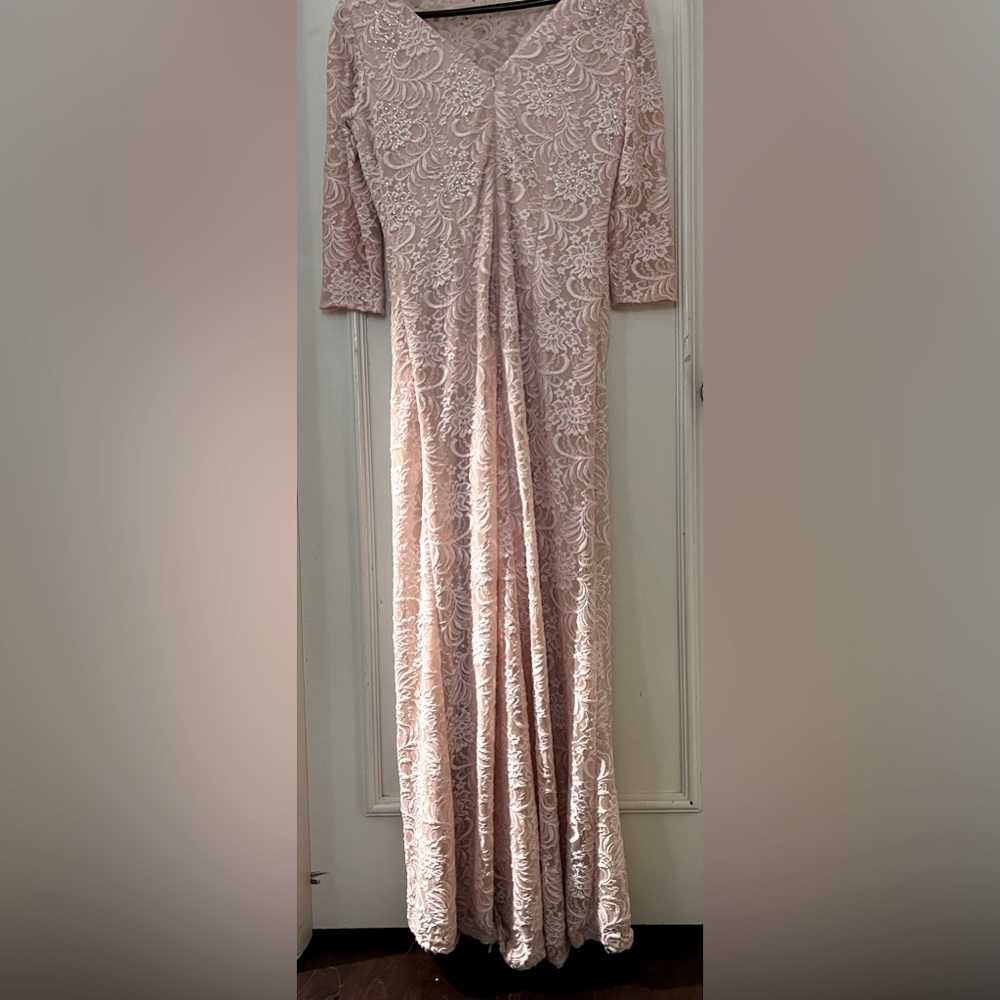 Alex Evenings Mother of Bride lace and crystal gown.